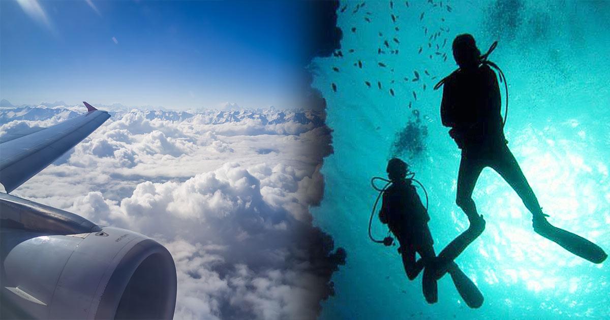 Diving Before Flying Rules Memugaa