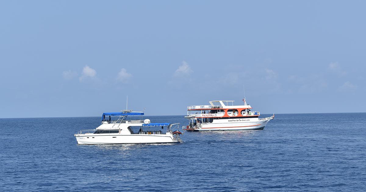 different types of liveaboard trips