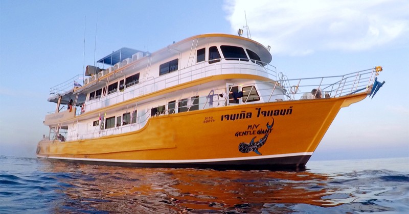 Gentle Giant Similan Liveaboard Thailand