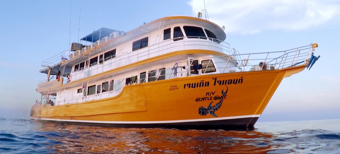 Gentle Giant Similan Liveaboard Thailand