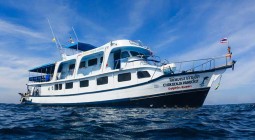 MV Dolphin Queen