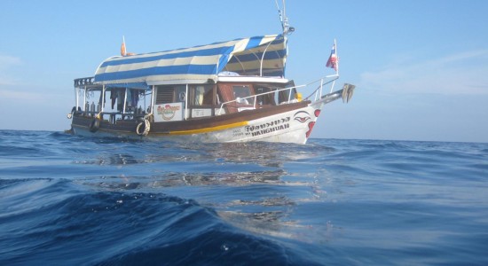 Nangnuan Boonsung Wreck daytrip diving